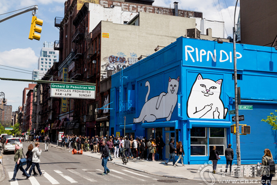 RIPNDIP ŦԼ޶