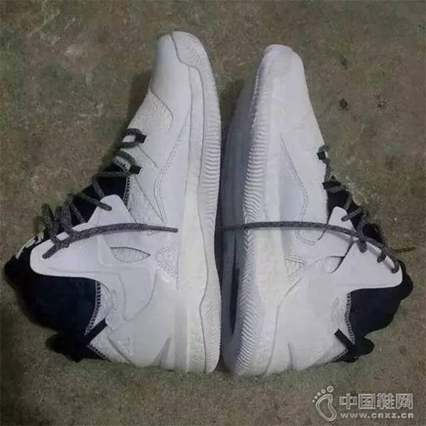 D Rose 7